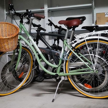 Dandelion Apartment Rovinj-Free Bikes المظهر الخارجي الصورة