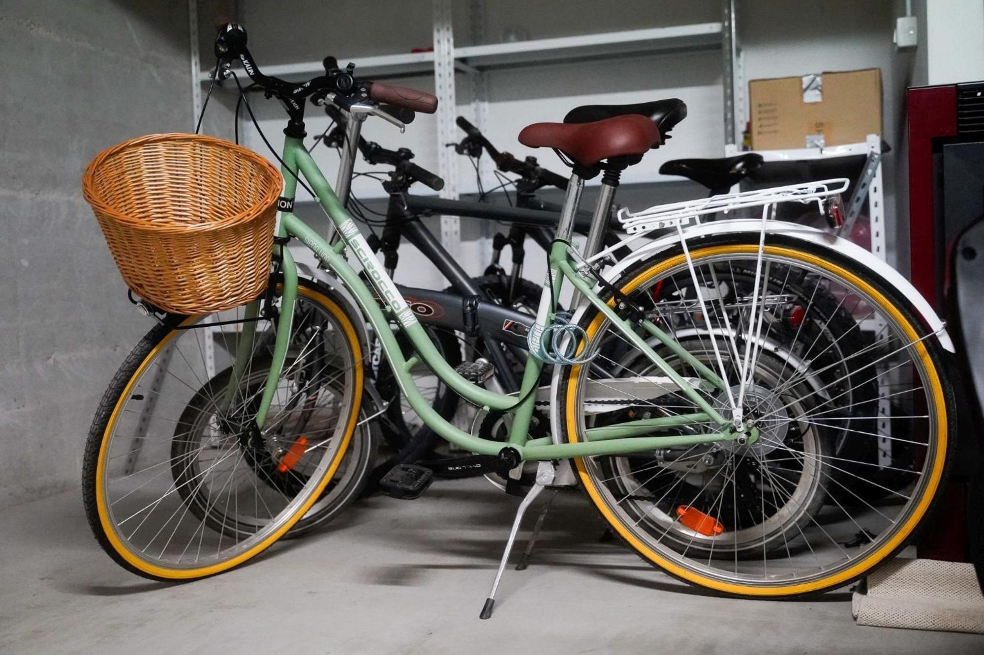 Dandelion Apartment Rovinj-Free Bikes المظهر الخارجي الصورة