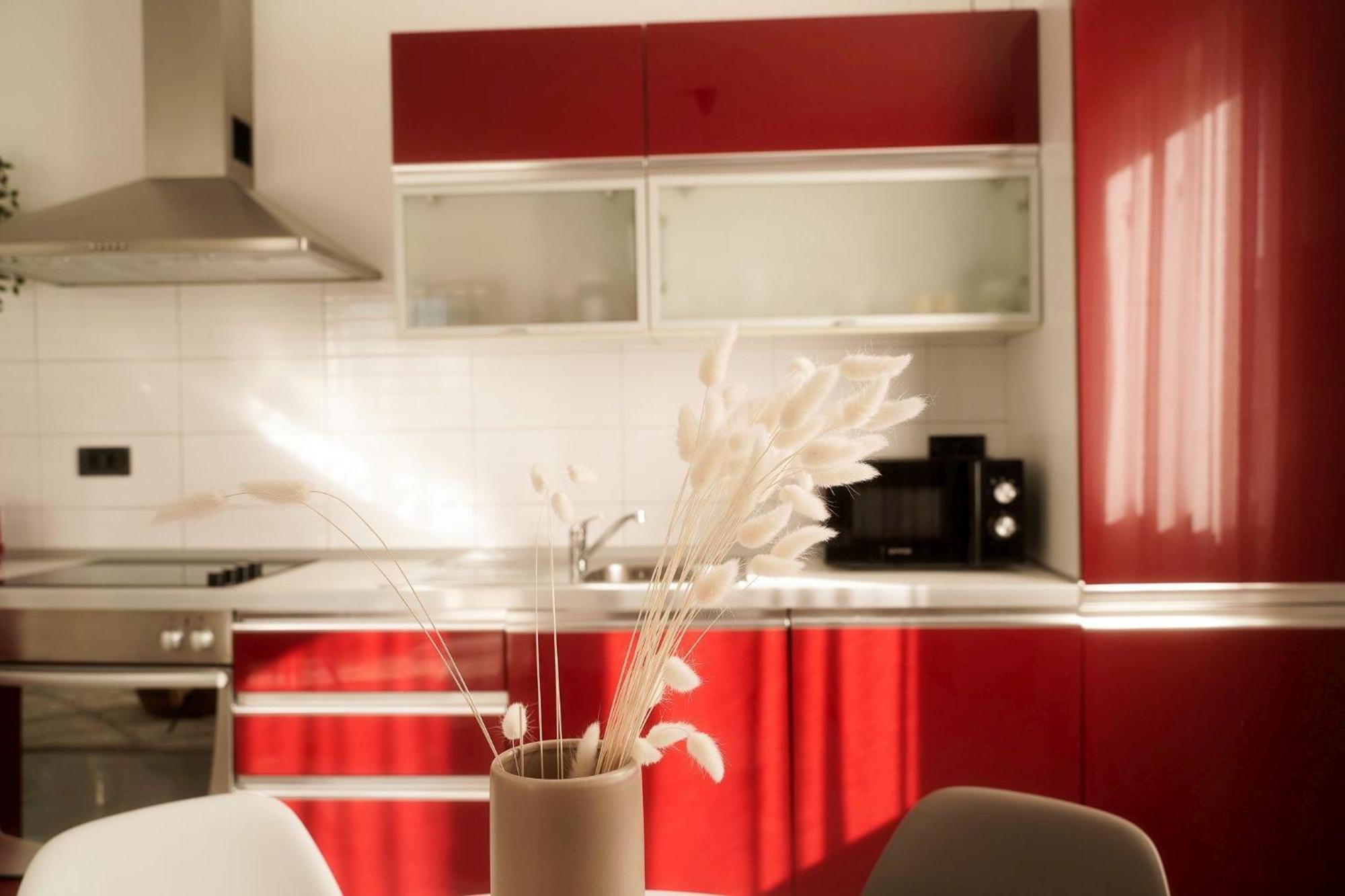 Dandelion Apartment Rovinj-Free Bikes المظهر الخارجي الصورة