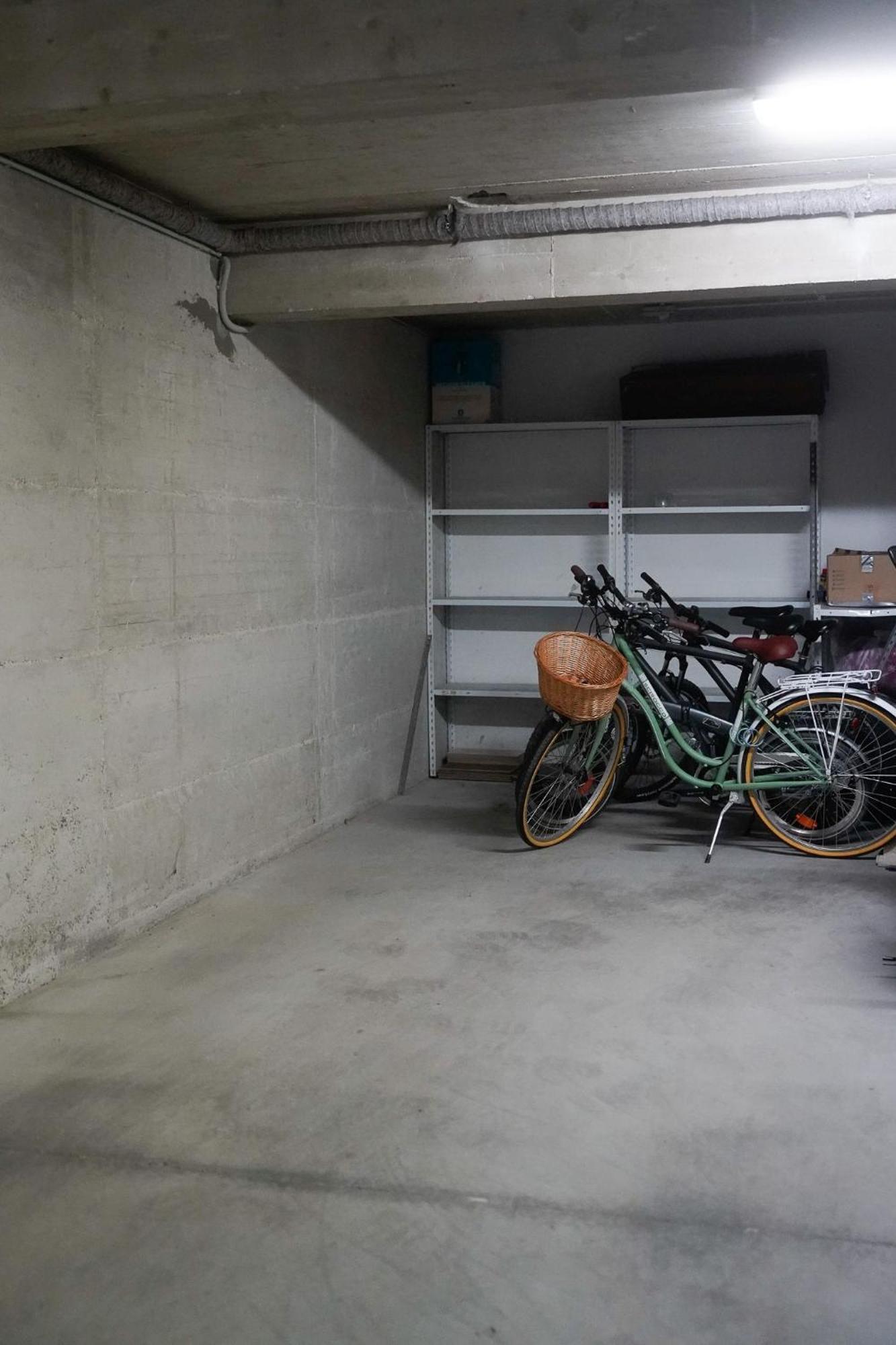 Dandelion Apartment Rovinj-Free Bikes المظهر الخارجي الصورة