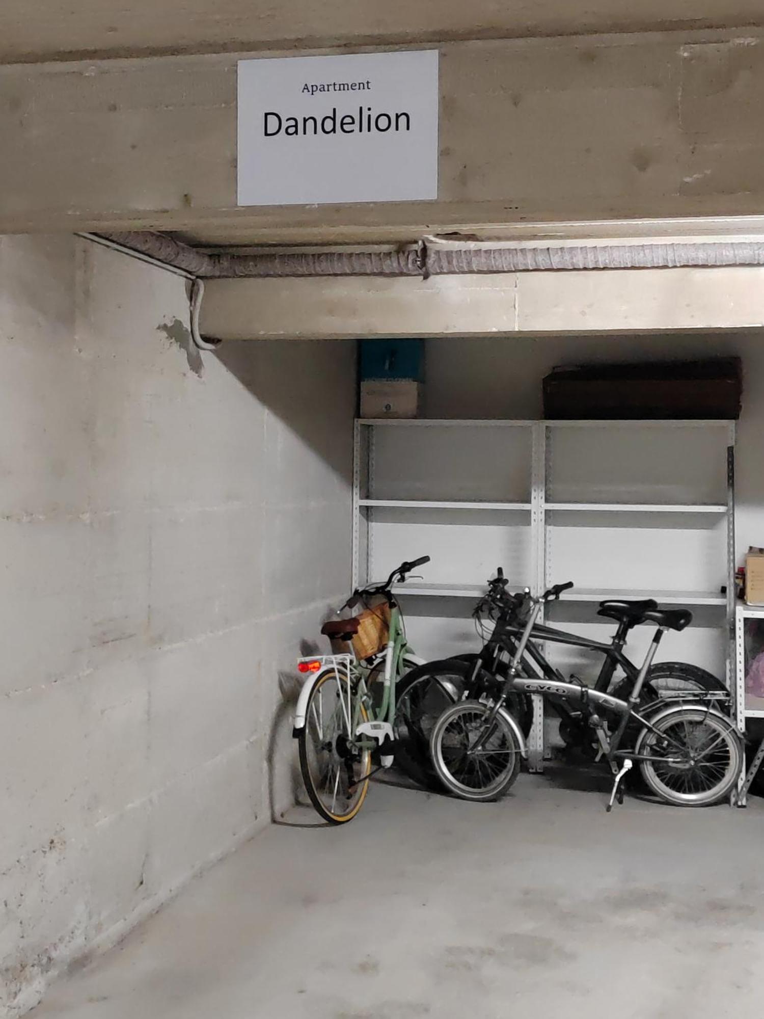 Dandelion Apartment Rovinj-Free Bikes المظهر الخارجي الصورة