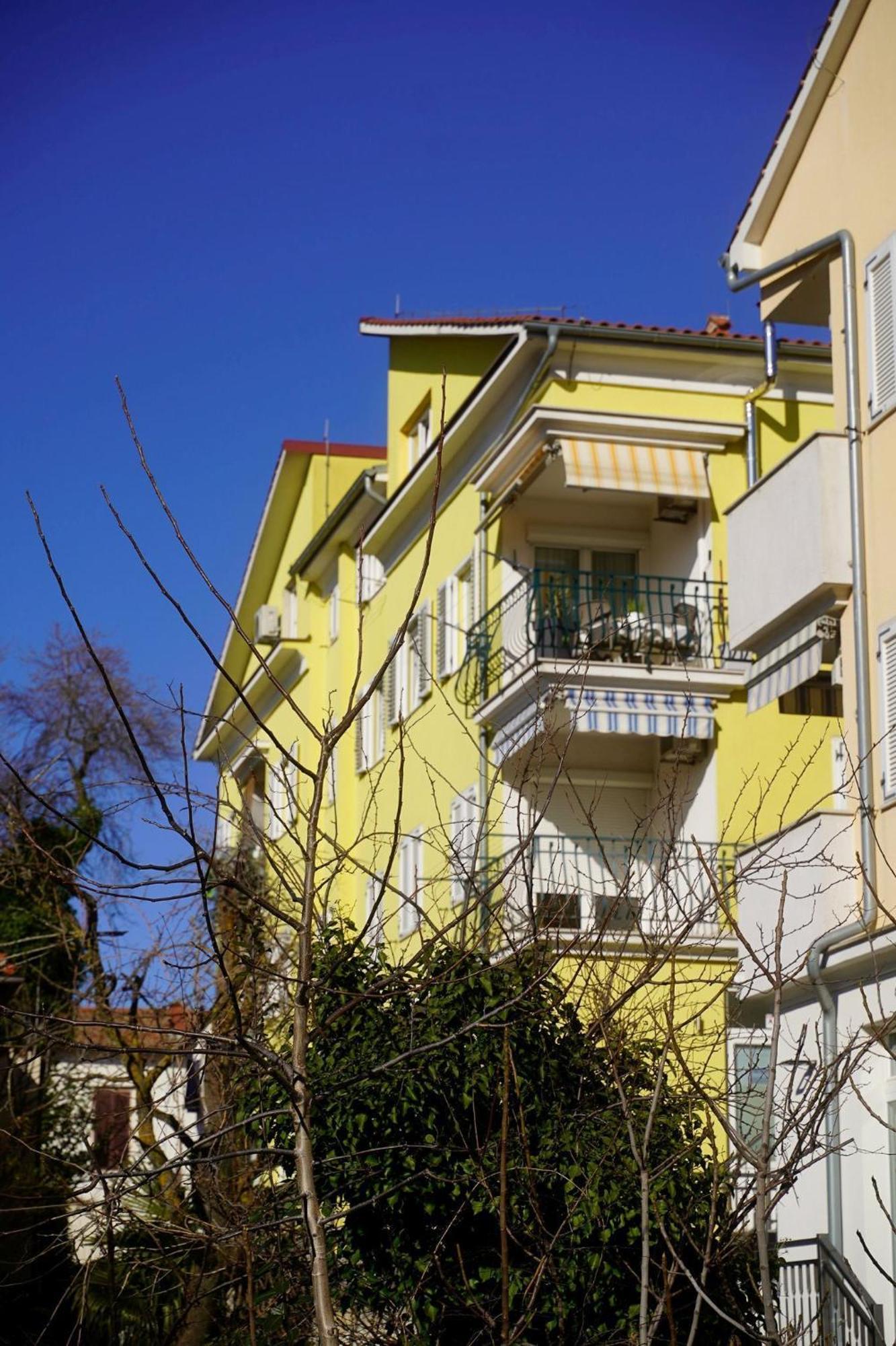 Dandelion Apartment Rovinj-Free Bikes المظهر الخارجي الصورة